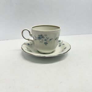 Johann Haviland Blue Garland  Cup and Saucer Bavaria Germany